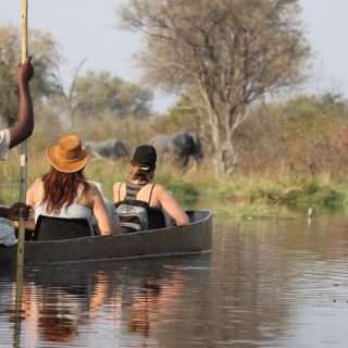 Mokoro Canoing in Okavango Delta
