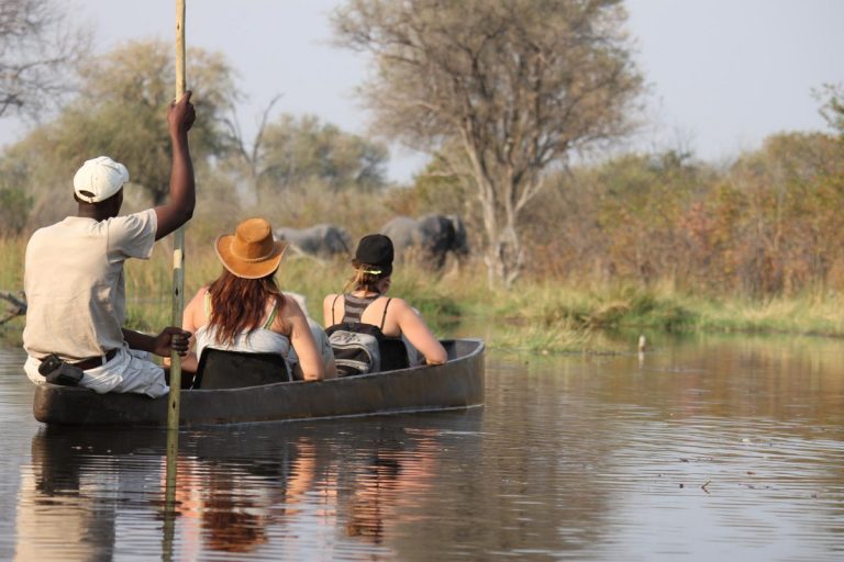 Mokoro Canoing in Okavango Delta