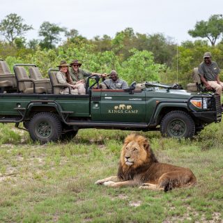 Kings Camp Game Drives at Timbavati Private reserve