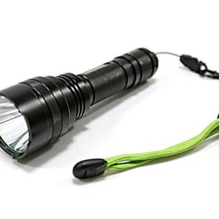 Luxury Safari at Baines’ River Lodge – Lower Zambezi, Zambia