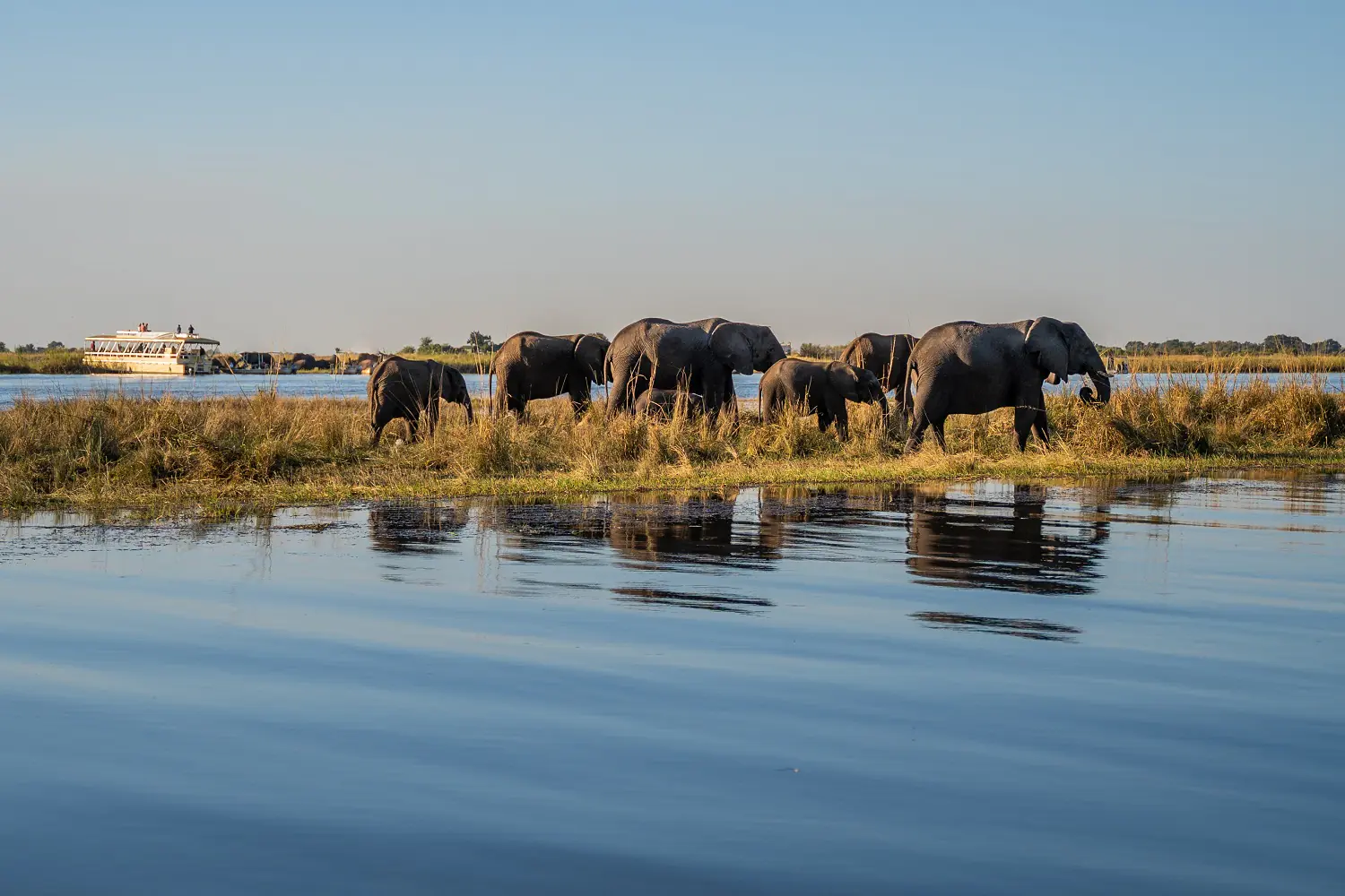 Chobe Boat Cruise