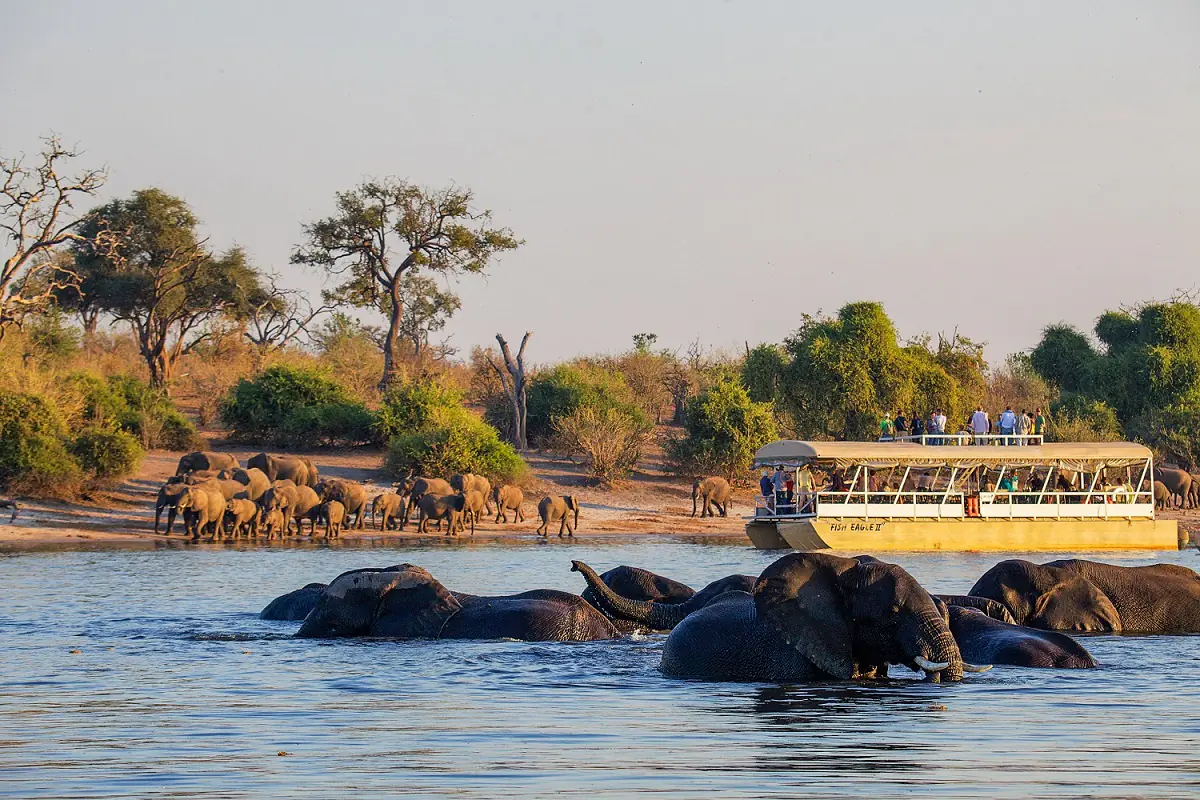 Chobe Boat Cruise