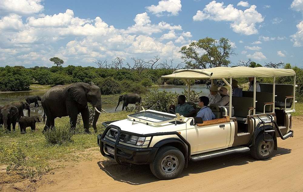 Game drive in Chobe national park
