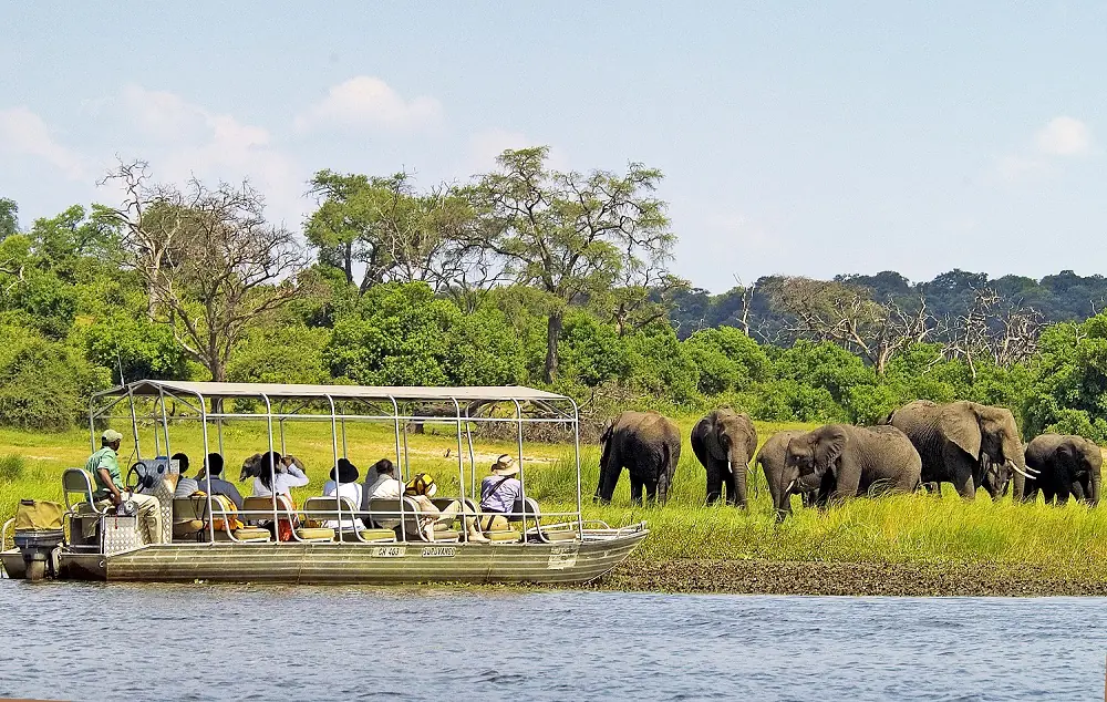 Boat cruise on the Chobe river during Chobe Day Trip