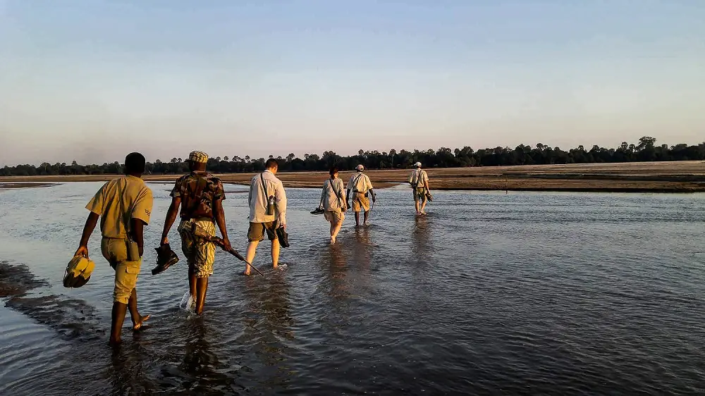 Bushwalk in South Luangwa