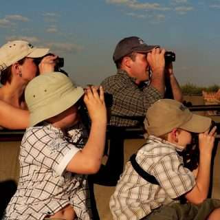 Zambia safari tours