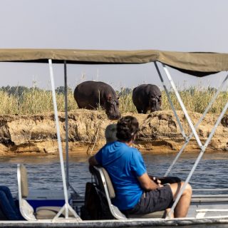Lower Zambezi Luxury Safari