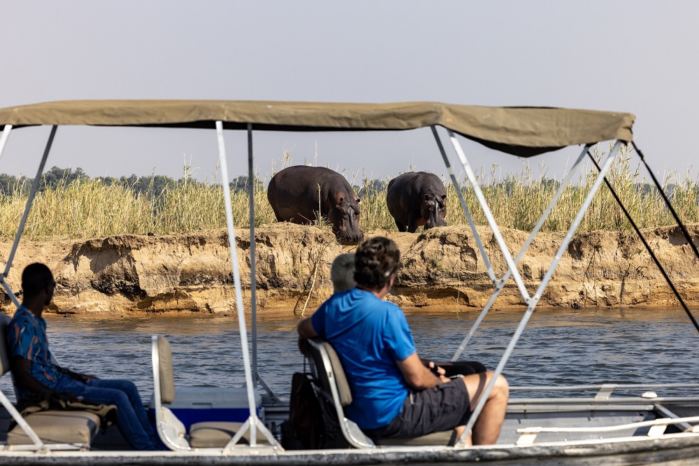 Lower Zambezi Luxury Safari