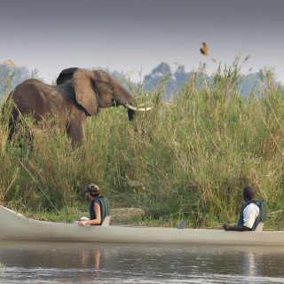 Canoing in the lower Zambezi