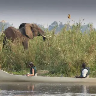 Canoing in the lower Zambezi