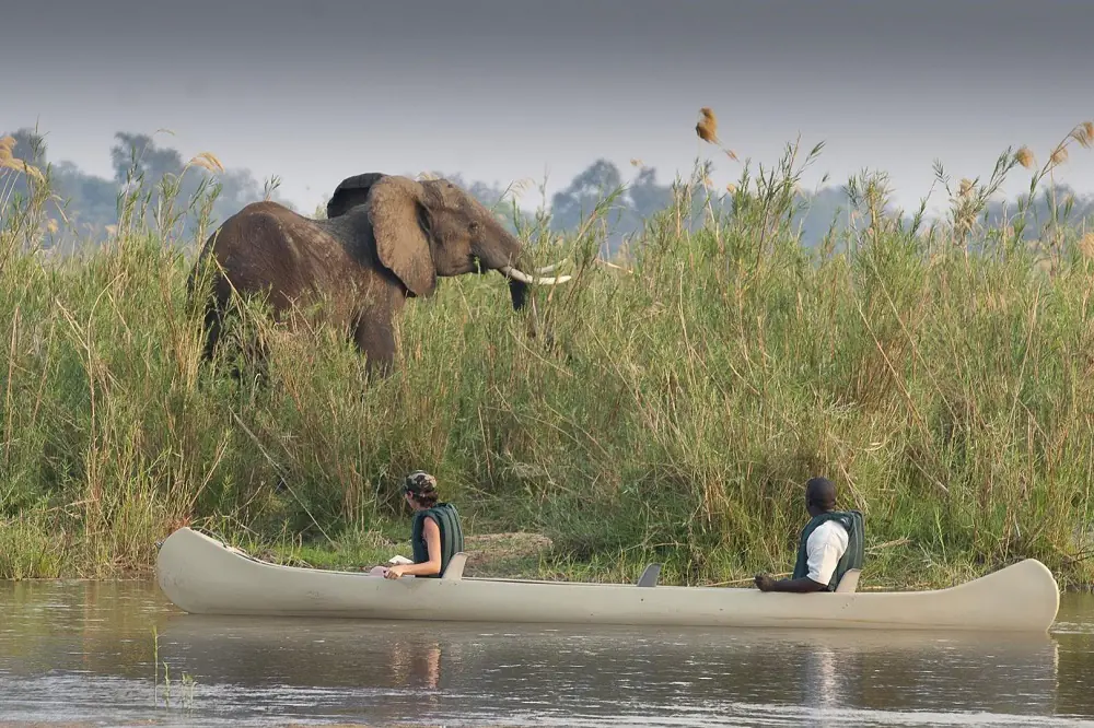 Canoing in the lower Zambezi