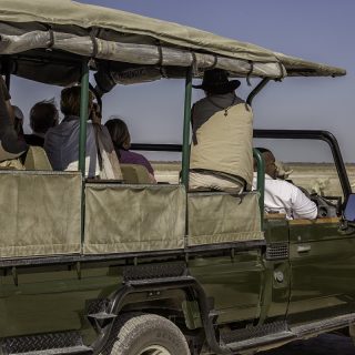Etosha Game Drives